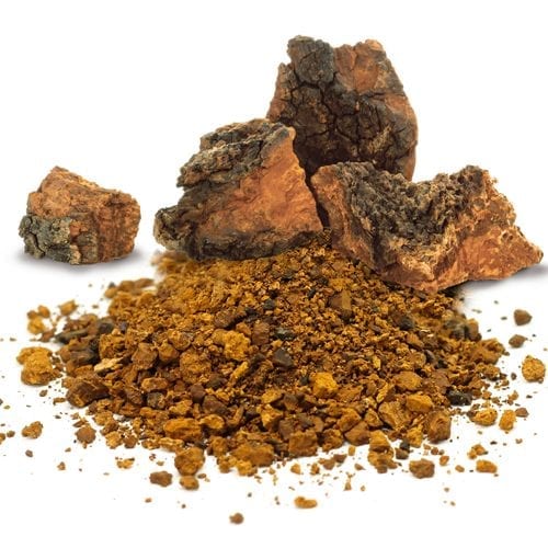 Raw chaga